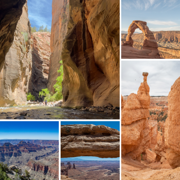 5 Epic National Parks Out West To Adventure On Your Road Trip!
