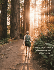 Connecticut State Park Checklist - State Park Posters
